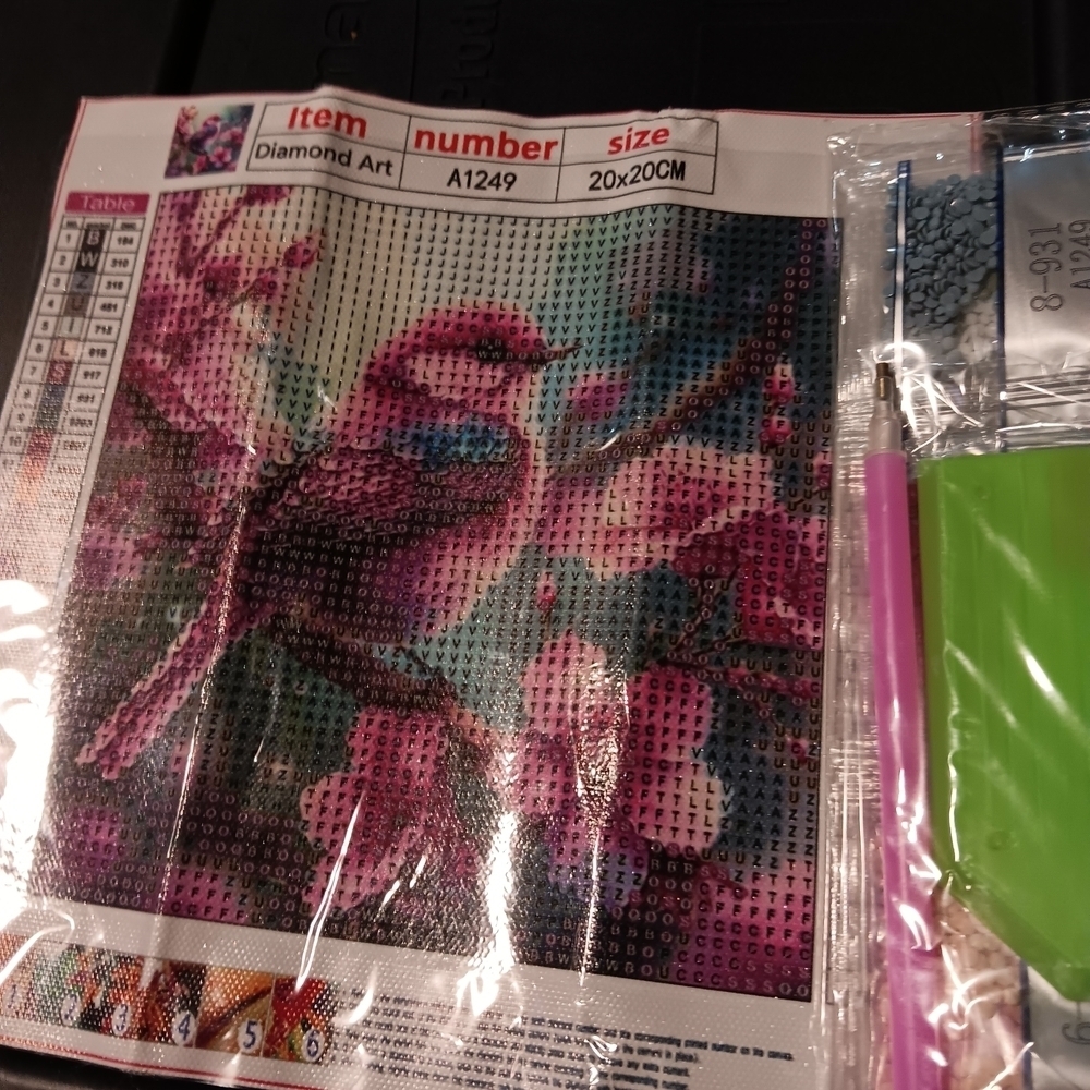 Colorful Bird Diamond Art Kit 20x20